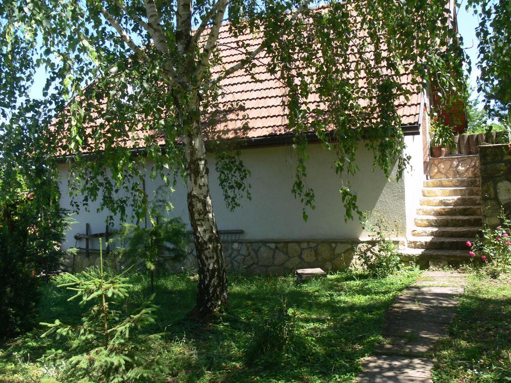 Szalma Vendeghaz Hotel Mogyorosbanya Exterior photo